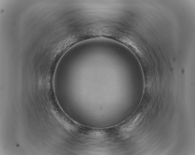X0000087350402200704201127