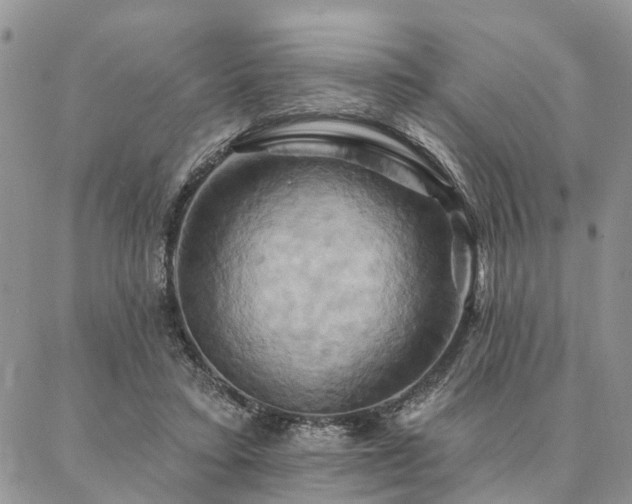 X0000087350403200704201127