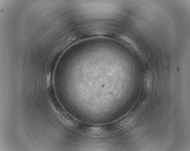 X0000087350406200704201127