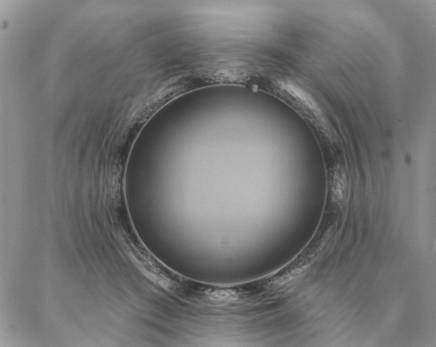 X0000087350409200704201127
