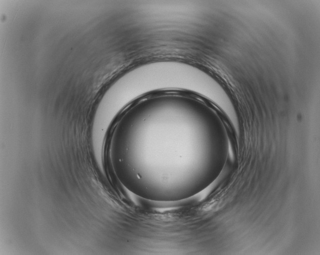 X0000087350411200704201127
