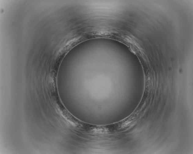 X0000087350415200704201127
