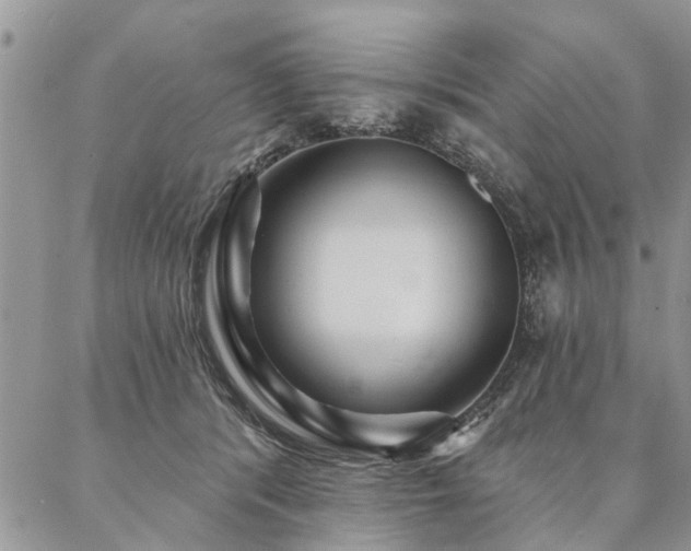 X0000087350416200704201127