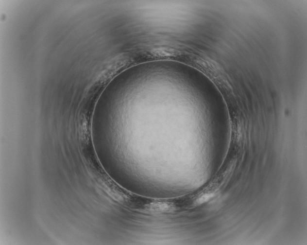 X0000087350418200704201127