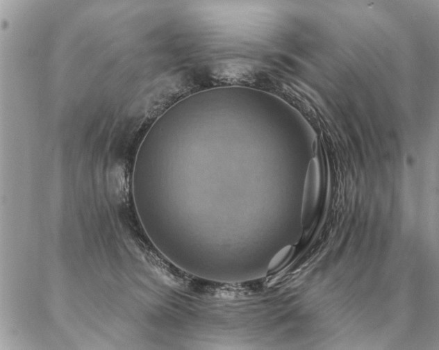 X0000087350420200704201127