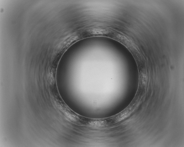 X0000087350422200704201127