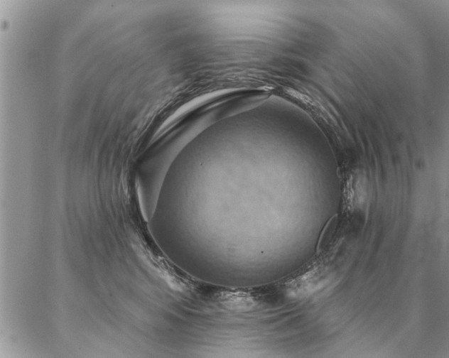 X0000087350424200704201127