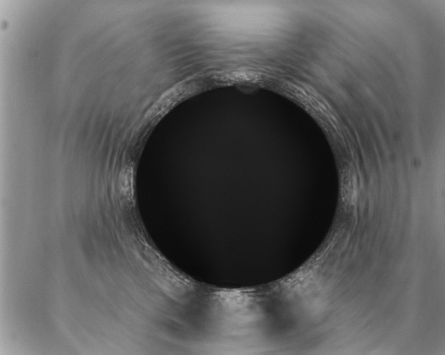 X0000087350425200704201127