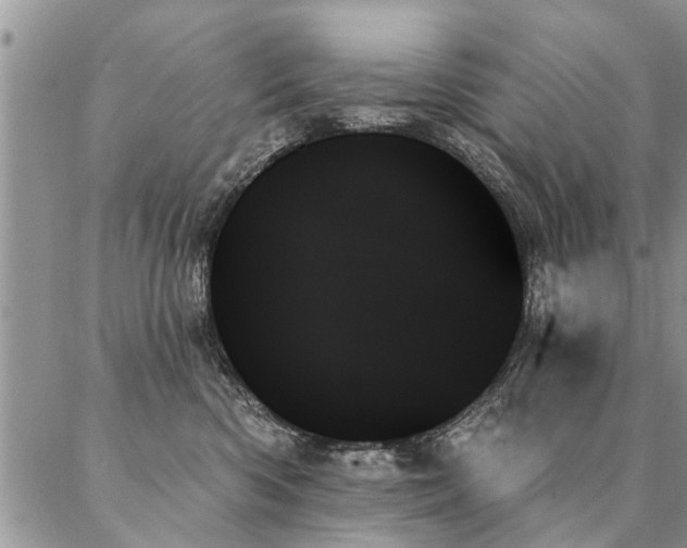 X0000087350426200704201127