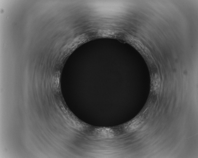 X0000087350427200704201127
