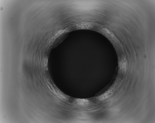 X0000087350429200704201127