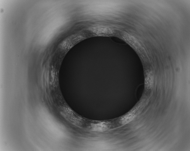 X0000087350430200704201127