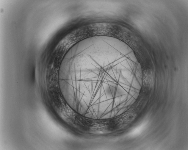 X0000087350431200704201127