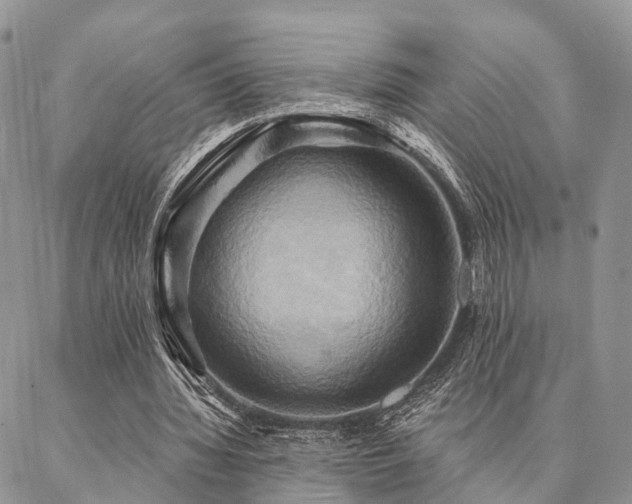 X0000087350436200704201126
