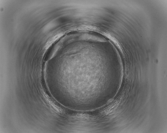 X0000087350437200704201126