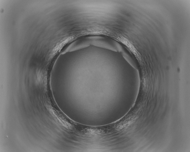X0000087350442200704201126