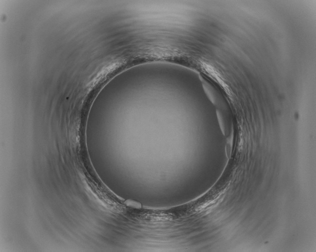 X0000087350443200704201126