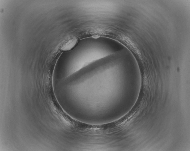 X0000087350449200704201126