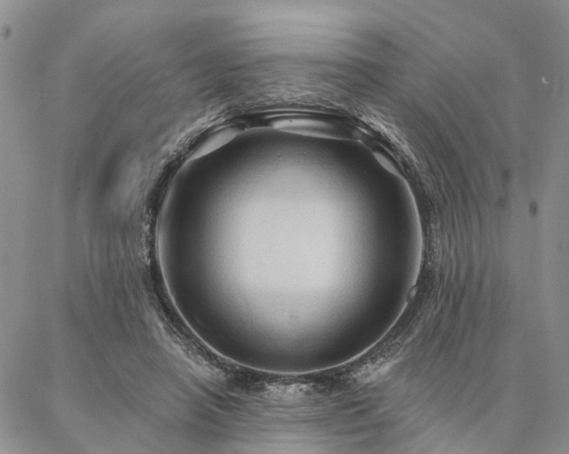 X0000087350450200704201126