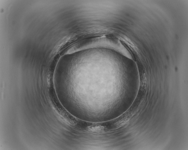 X0000087350452200704201126