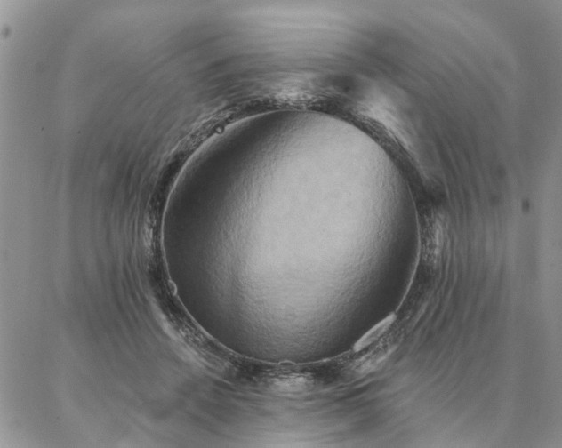 X0000087350456200704201126