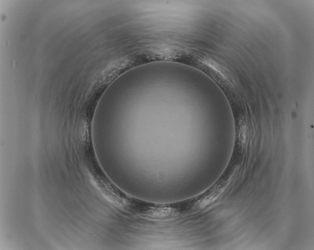X0000087350459200704201126