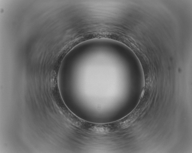 X0000087350464200704201126
