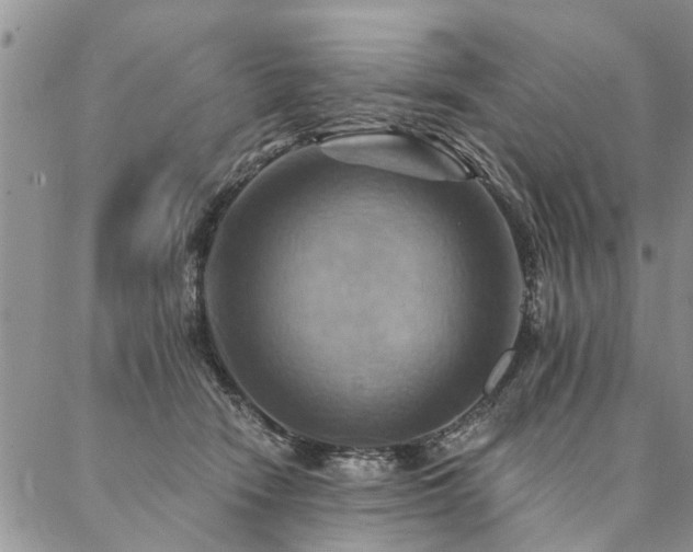 X0000087350466200704201126