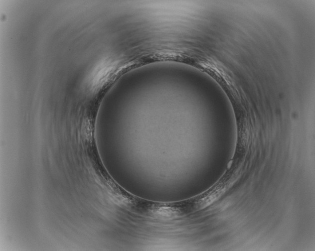 X0000087350467200704201126
