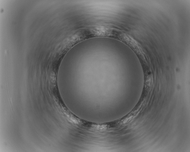 X0000087350469200704201126