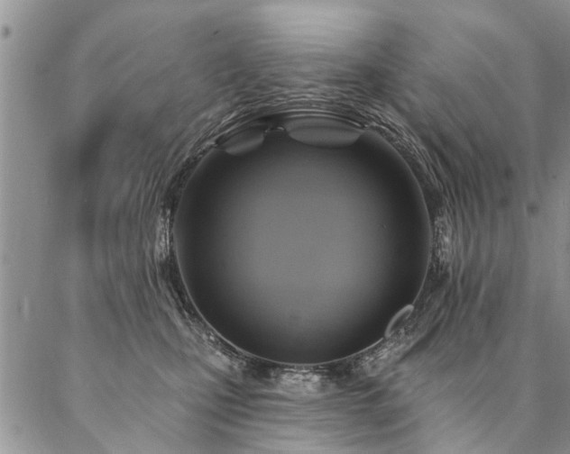 X0000087350471200704201126
