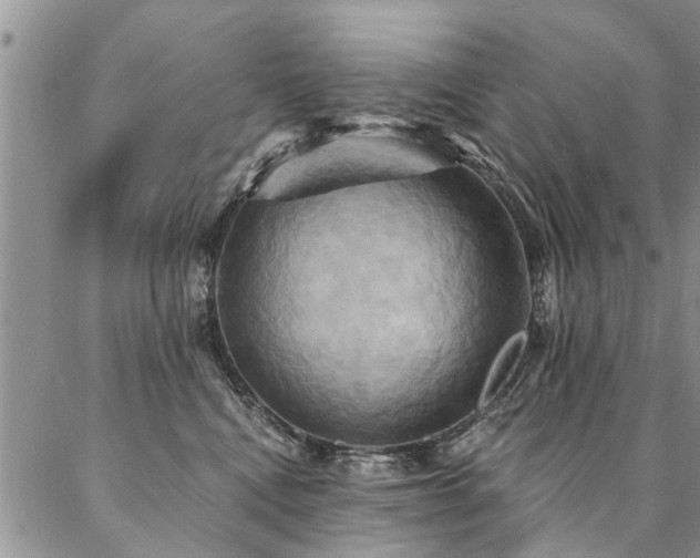 X0000087350472200704201126