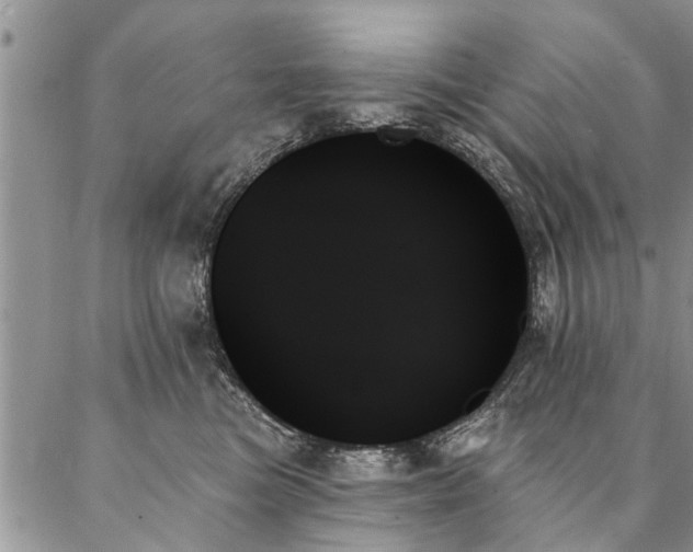 X0000087350473200704201126