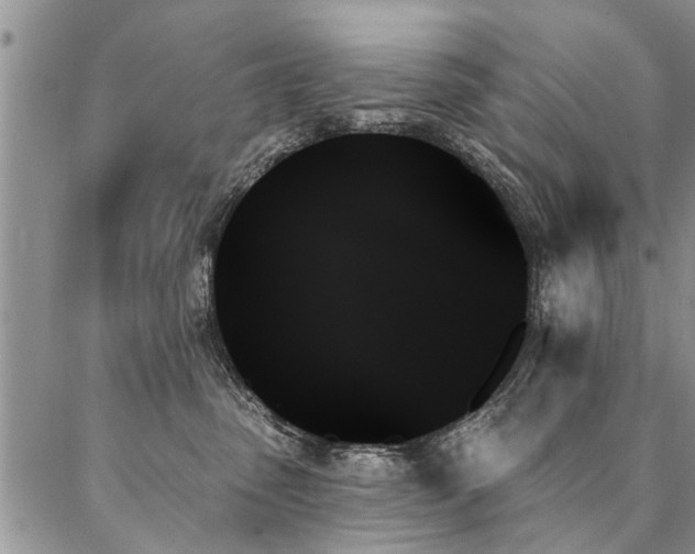 X0000087350475200704201127