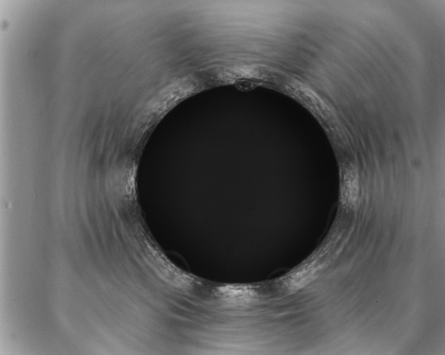 X0000087350477200704201127