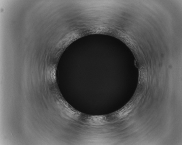 X0000087350479200704201127