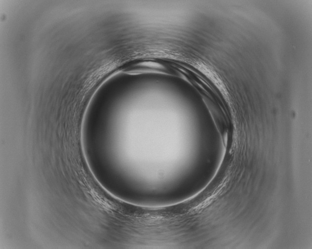 X0000087350481200704201126