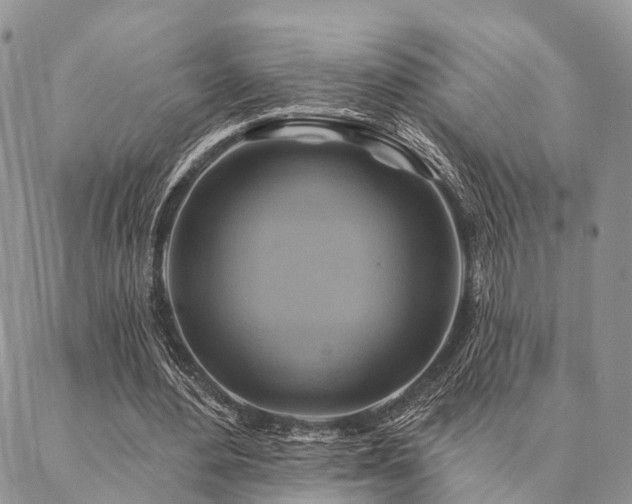 X0000087350484200704201126