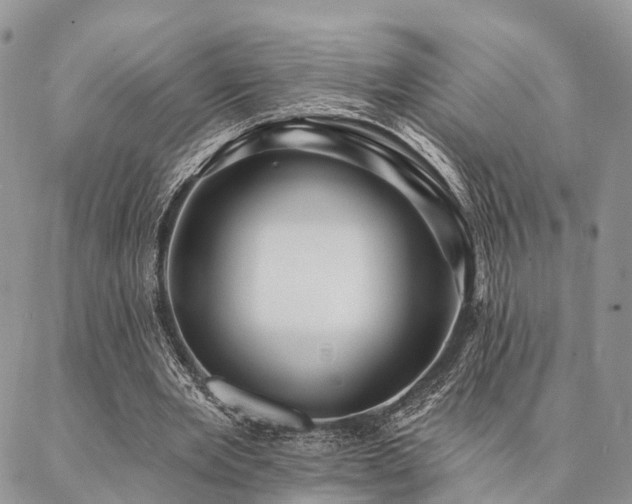 X0000087350485200704201126