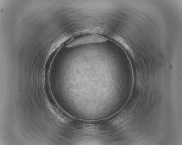 X0000087350486200704201126