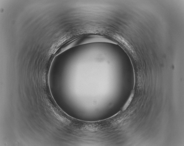 X0000087350489200704201126