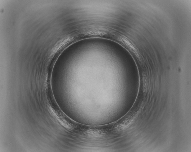 X0000087350490200704201126