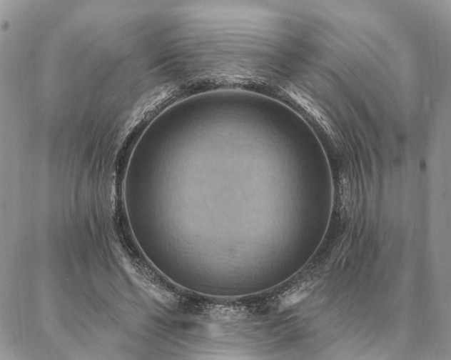 X0000087350494200704201126