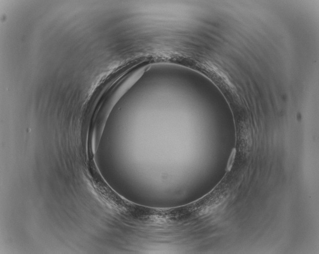 X0000087350496200704201126