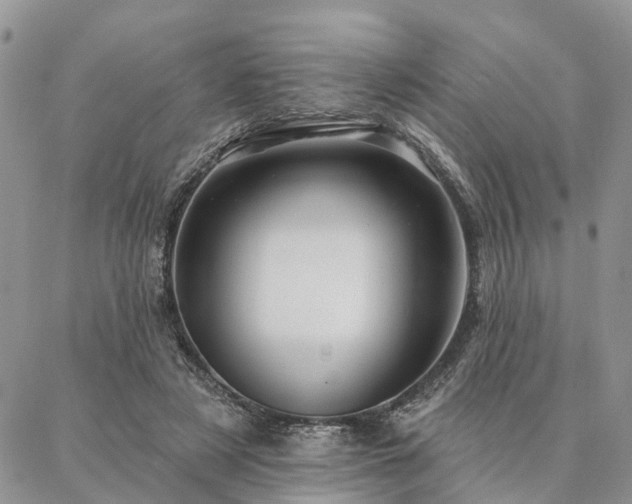 X0000087350497200704201126