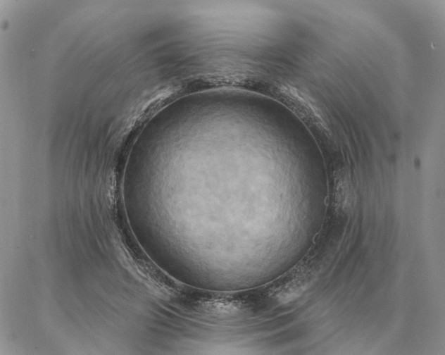 X0000087350498200704201126