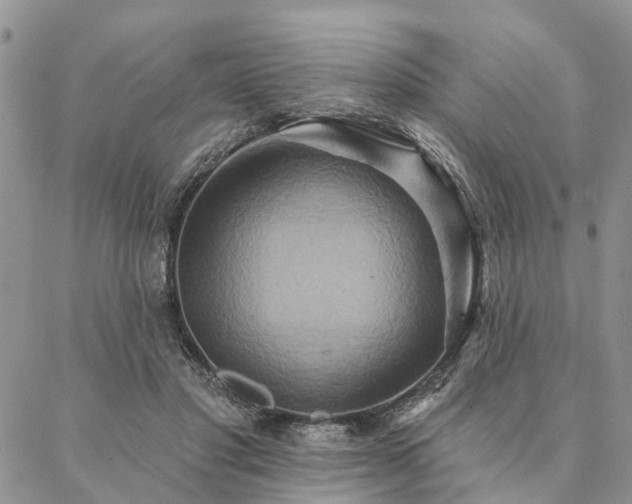 X0000087350501200704201125