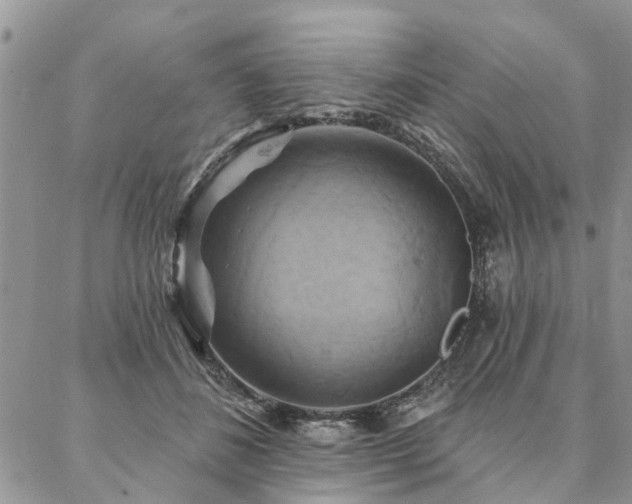 X0000087350508200704201125