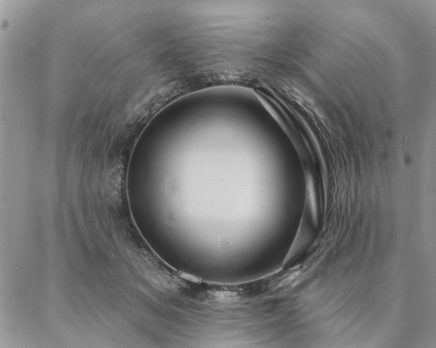 X0000087350509200704201125