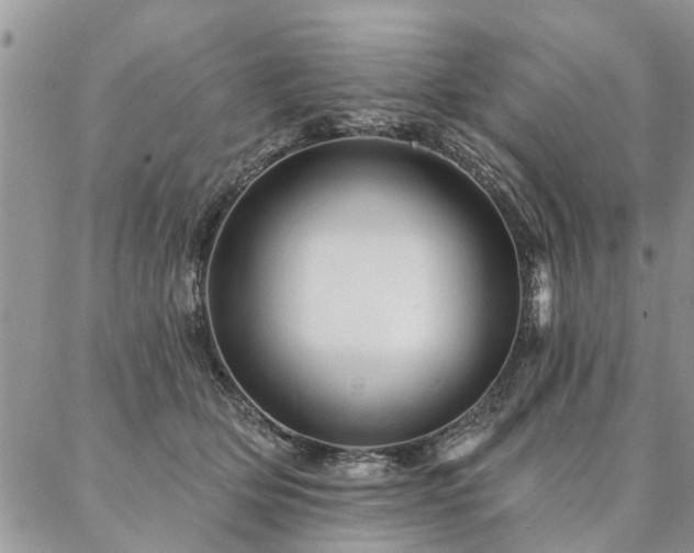 X0000087350514200704201125